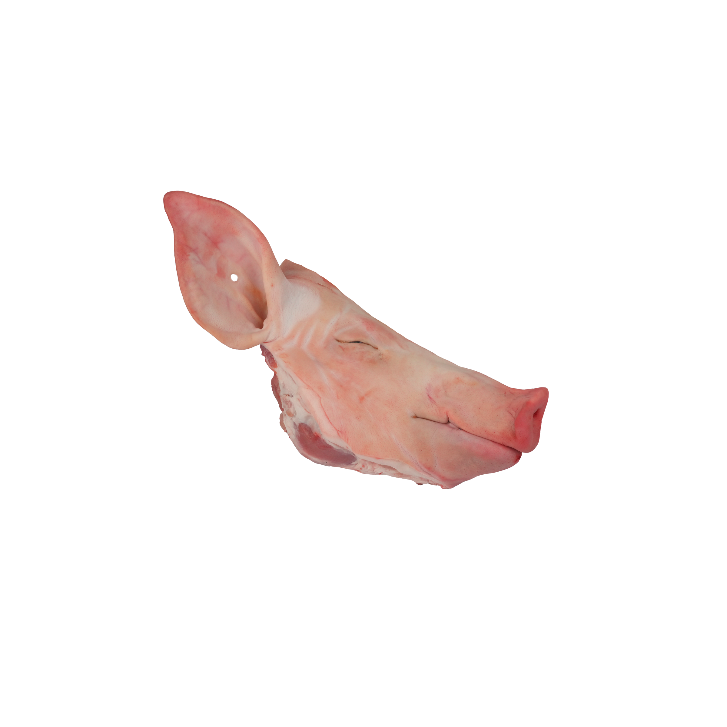 Schweinekopf halb mit Ohr
